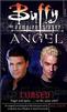 Buffy/Angel Novel 