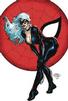 Spider-Man Black Cat Wolfman Signature 7/299